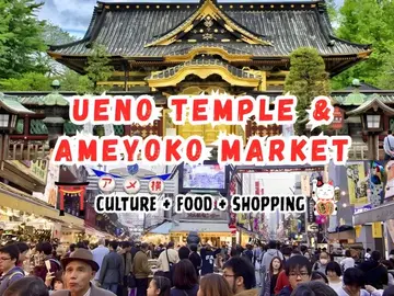 Ueno Temples & Ameyoko Market - Culture, Food & Shopping Tour