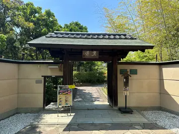 Sakai Free Morning Walk — Daisen Park & Ancient Tombs