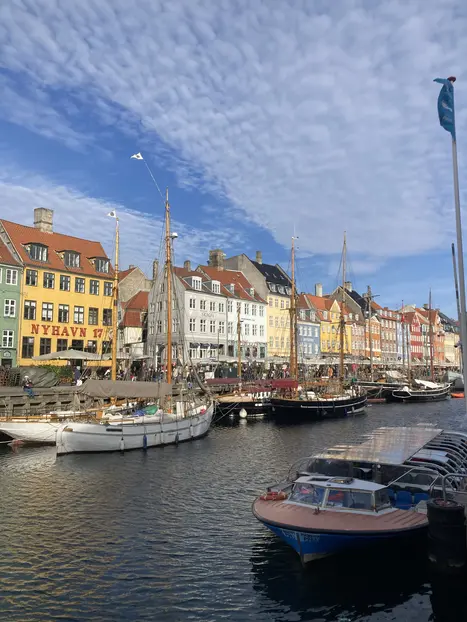 Paseando por Copenhague. Historia, cultura y vida local, lo esencial de la ciudad.