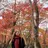 Dawn