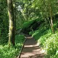 Hidden secrets of Sintra: A Local’s Mountain Walk