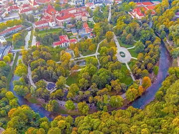 Whispering Paths: Forest Bathing in the Heart of Vilnius