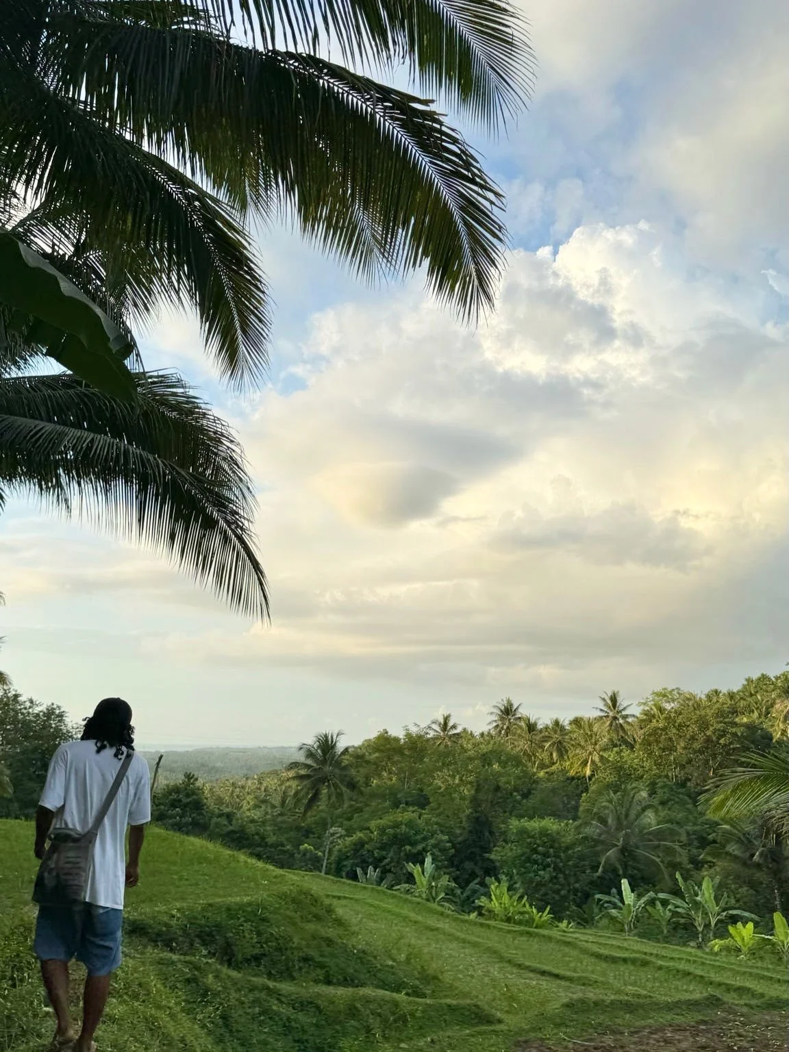 Kostenlose Tour: Authentische Lombok Scooter-Rundfahrt (Affen, Reisfelder oder Sonnenuntergang & Schildkröten)