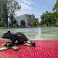Onde di cambiamento: Le storie dietro il lungomare in continua evoluzione del Lago Ontario a Toronto