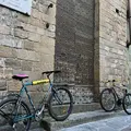 Tour di Firenze a bordo di Biciclette Vintage