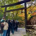 All about the bamboo forest: Arashiyama between Temples and Shrines with Italian Guide