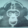 R.G.