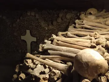 🐈‍⬛ El mejor Free tour de Leyendas e Historia Oculta de París ☠ 