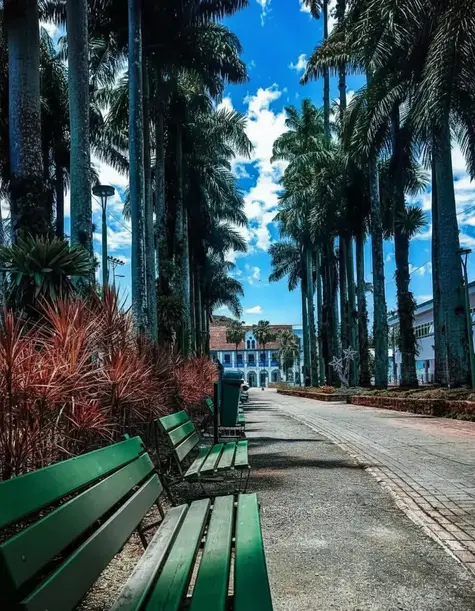 Tour storico attraverso il centro della città!