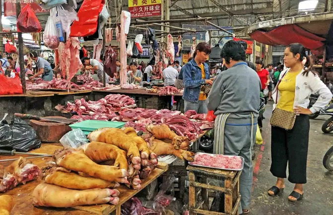 Free Chengdu Wet Market Walk & Night Market Food Adventure