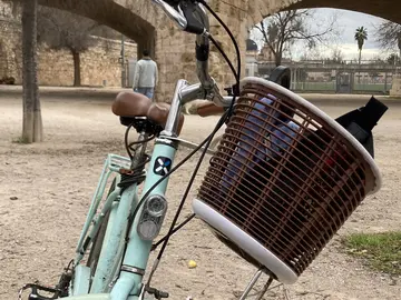 Treasure Hunt in Turia Park - Valencia