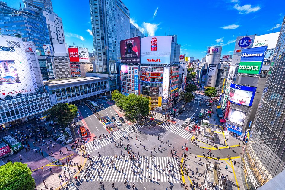 Shibuya: From Urban Chaos to Sacred Forest – Small Group | GuruWalk
