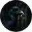 Black Raven Tours