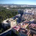 Essential Elche with a local guide: palm trees, history, and curiosities