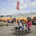 Sapori di Helsinki – Tour Gastronomico Tradizionale e Moderno