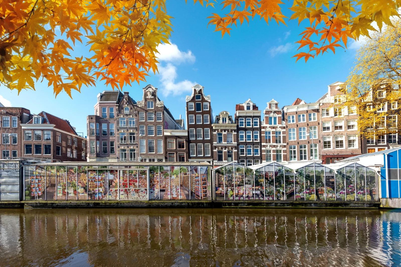 Tour centro storico di Amsterdam: un viaggio nel tempo