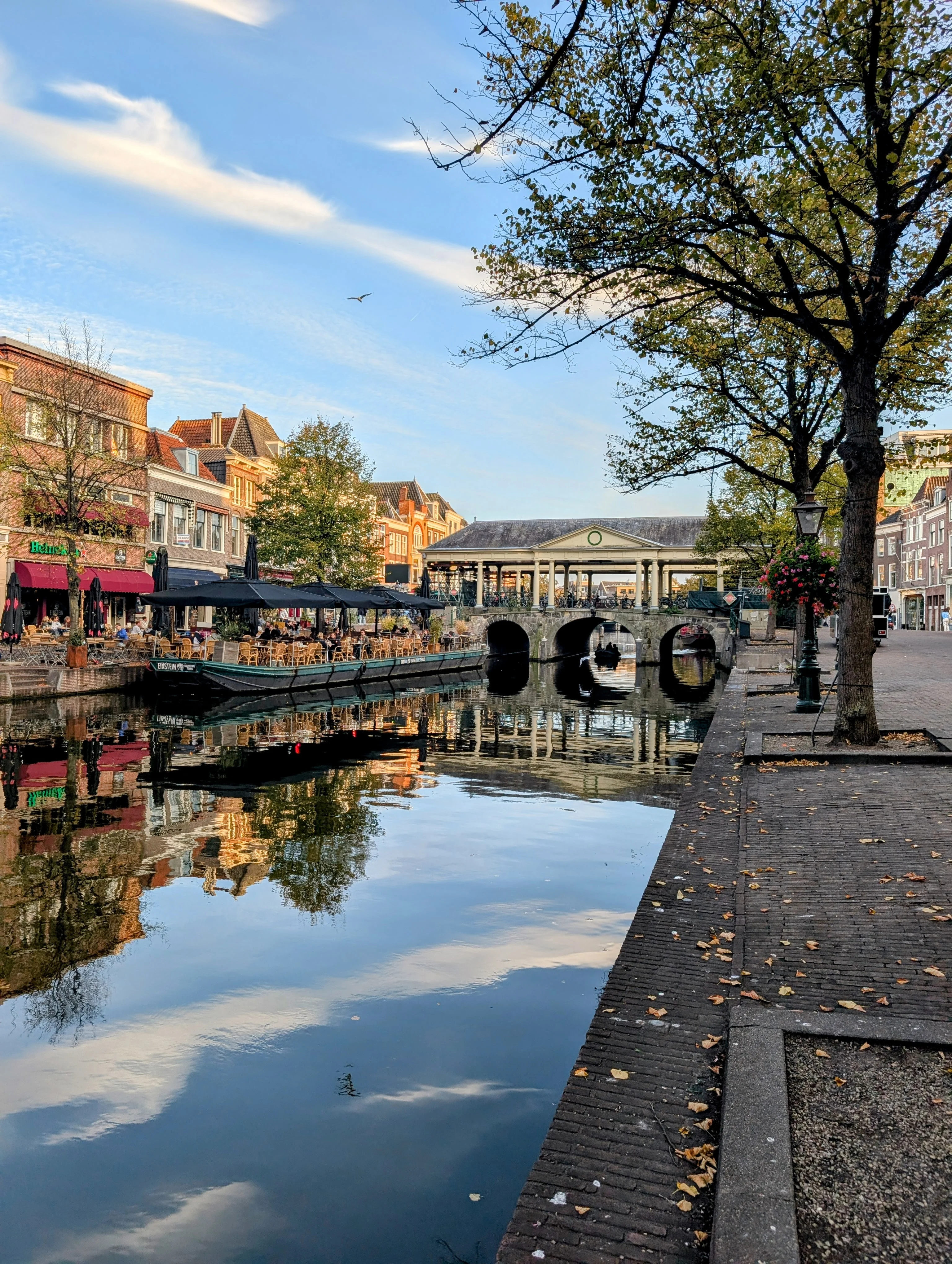 ¡Descubriendo las Claves de Leiden: De Peregrinos a Pintores!