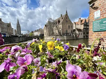 Free Tour Brujas, su historia y su presente.