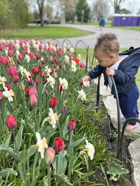 Respira el Lado Tranquilo de Ottawa