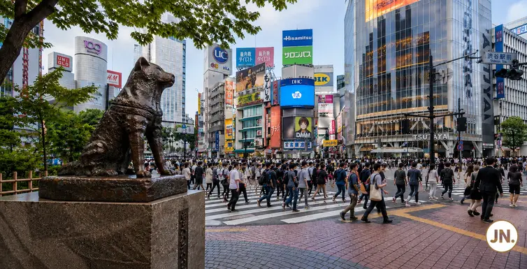 SHIBUYA~HARAJUKU | Hustle, Bustle & Culture