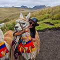 🚠 Quito from the clouds: Cable car, viewpoints and secrets of the market
