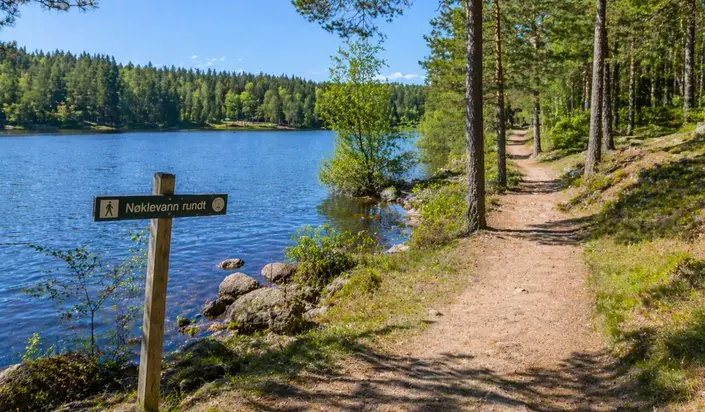 Recorrido filosófico por la naturaleza de Oslo