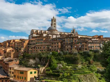 Free walking tour: Die 7 Geheimnisse von Siena 