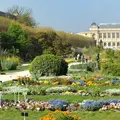 Hidden Secrets of the Jardin des Plantes