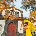 Cronache di Funchal: East Side – Free walking tour di uno storico: Madeira brillante