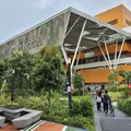 Discover the Real Singapore beyond the Tourist Trails