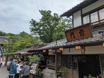 Vida de Niños en el Tour de Jindaiji - Retiro de Naturaleza y Templo con Niños -