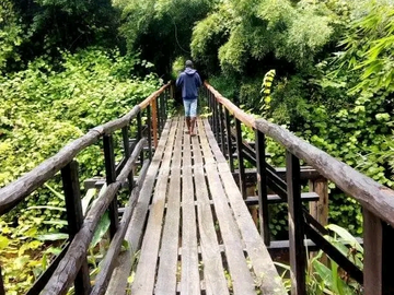 Eine Reise ins Herz des Regenwaldes Madagaskars
