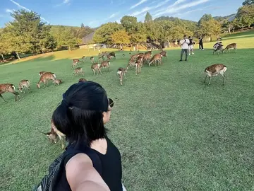 Nara svelata: 1 ora e mezza tra templi, cervi e meraviglie senza tempo