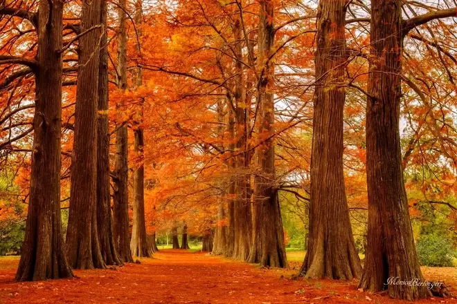 Free Tour de Historia y Naturaleza por el Prado