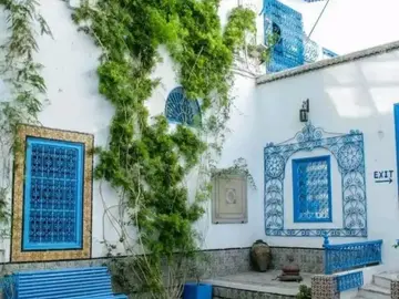 Rundgang durch Sidi Boussaid: Stadt der Künstler 