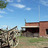 Ana Maria