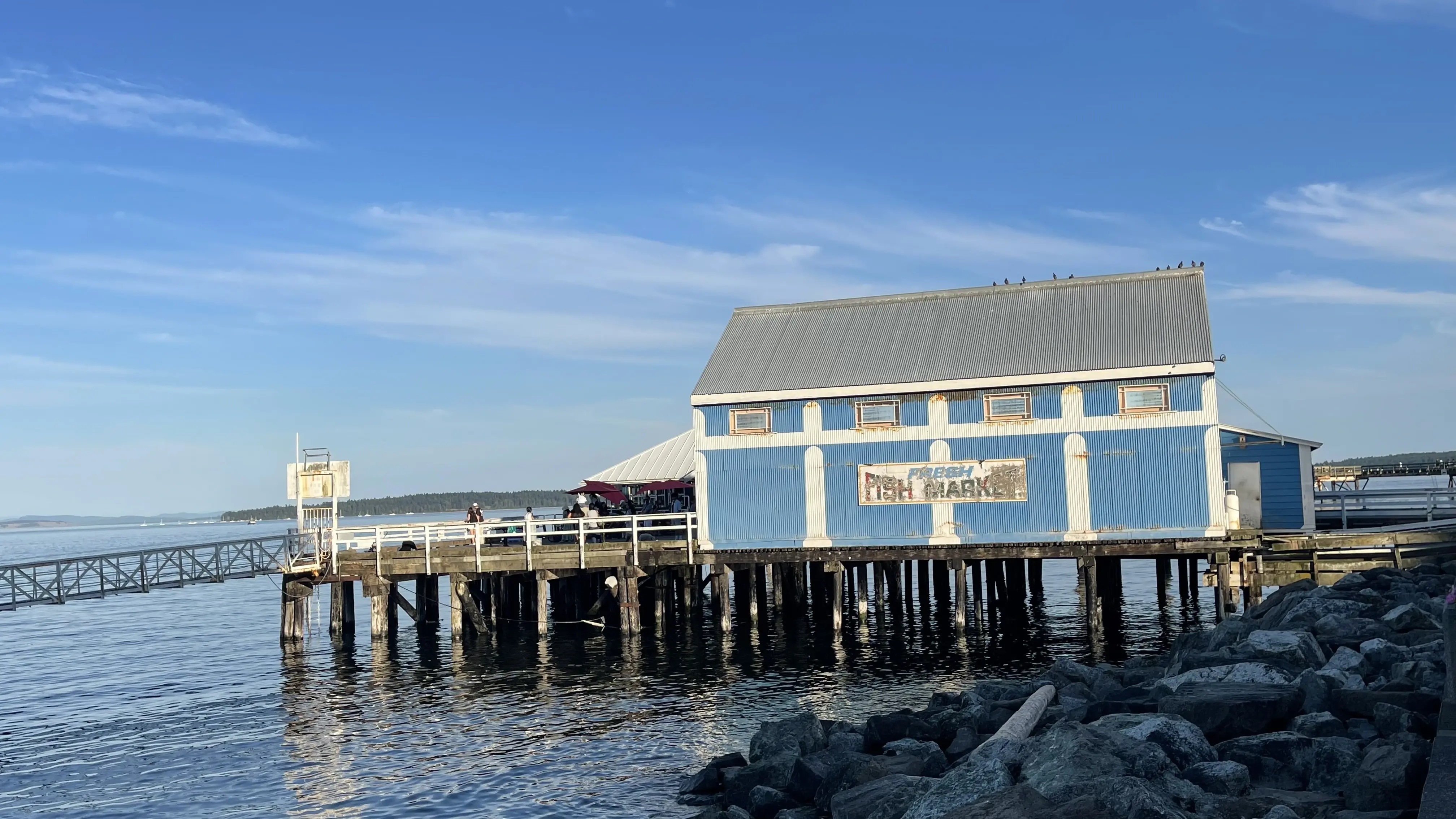El sabor de Sidney junto al mar: disfrutando de lo antiguo con lo nuevo