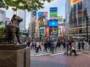 ⛩️ SHIBUYA + HARAJUKU ⛩️ De la modernidad a lo sagrado - Shibuya Cross, Nonbei Yokocho, Meiji Shrine, Takeshita Street, y MÁS.!