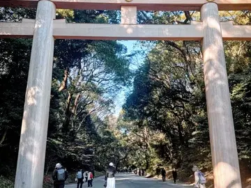 Harajuku Free Tour: Shrines, Fashion and Kawaii Corners