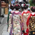 Kyoto Gion: Recorrido a pie guiado de 2 horas sobre la cultura e historia de las geishas