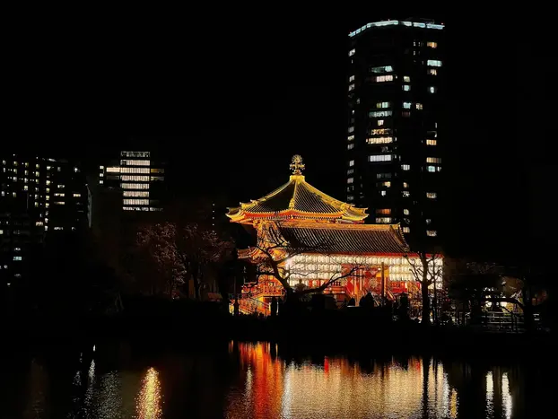 Tour image 5