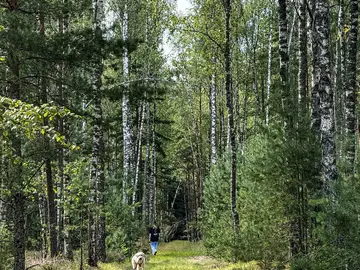 Discover a Lithuanian Forest with a Local