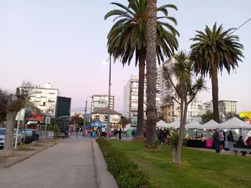 ScooTour: Viña del Mar más rápido y más lejos!! 
