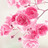 Preethi