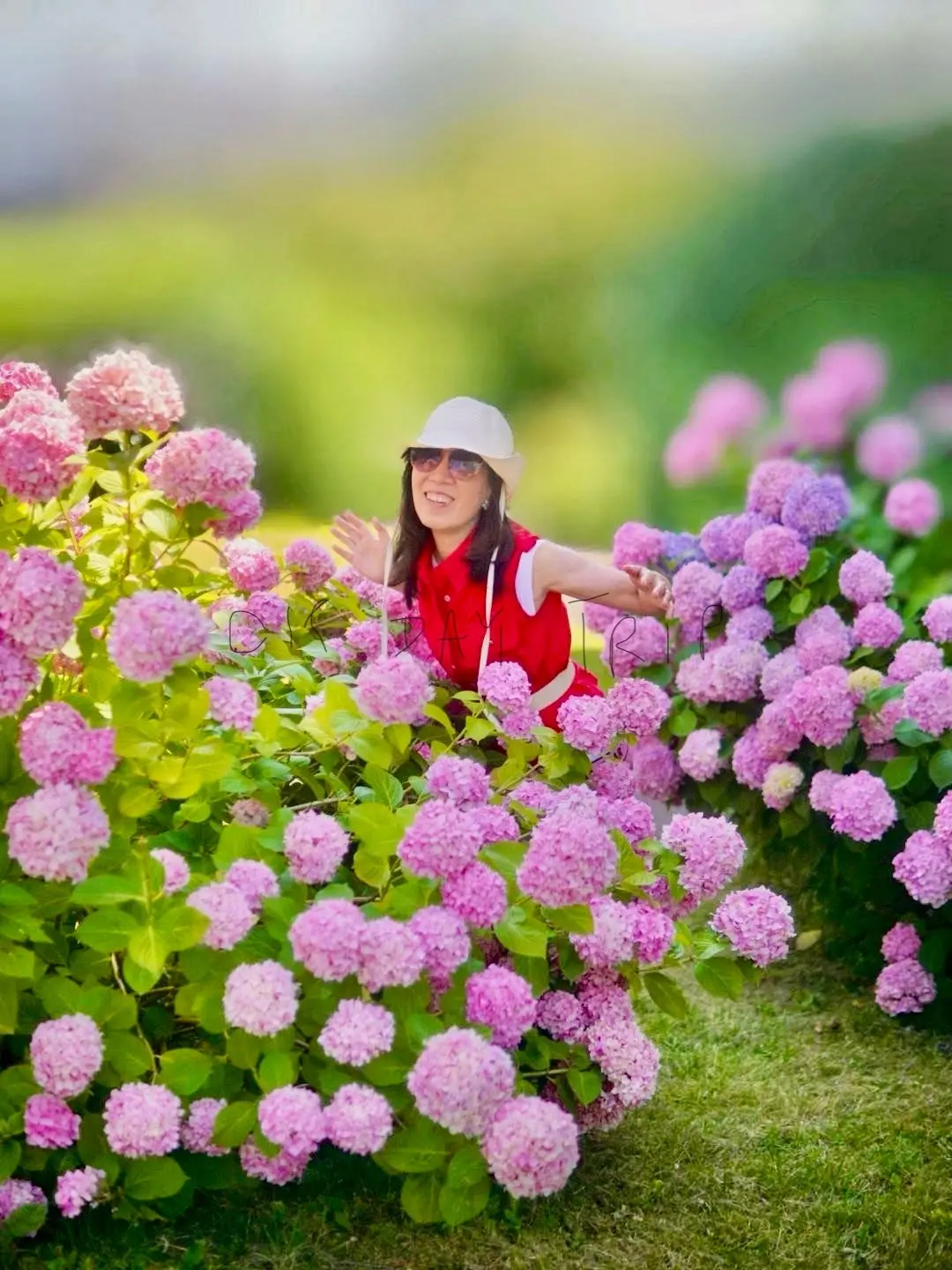 Kathy