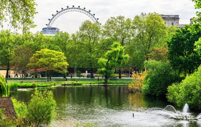 Toms Baumtour durch London