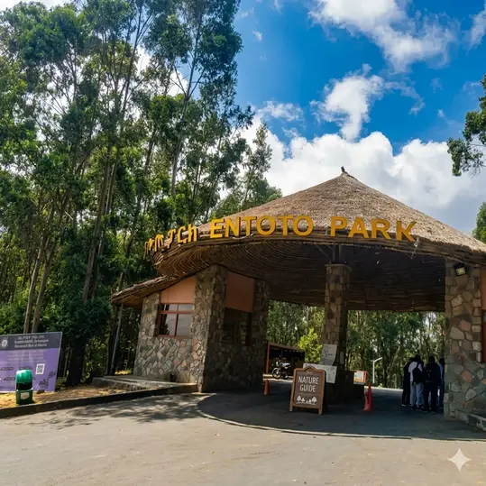 3-Hours Addis Abeba Layover Discovery