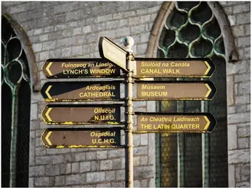 Tour mattutino a piedi della città di Galway