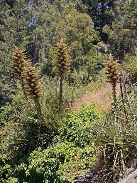 Tour image 3