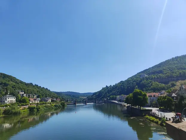 Discover HEIDELBERG like a LOCAL!!